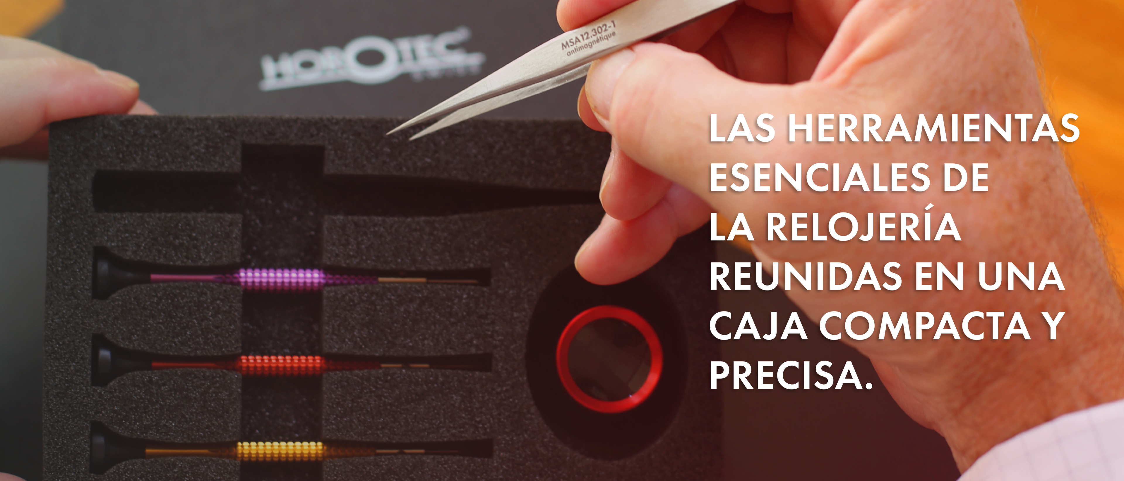 Ver productos